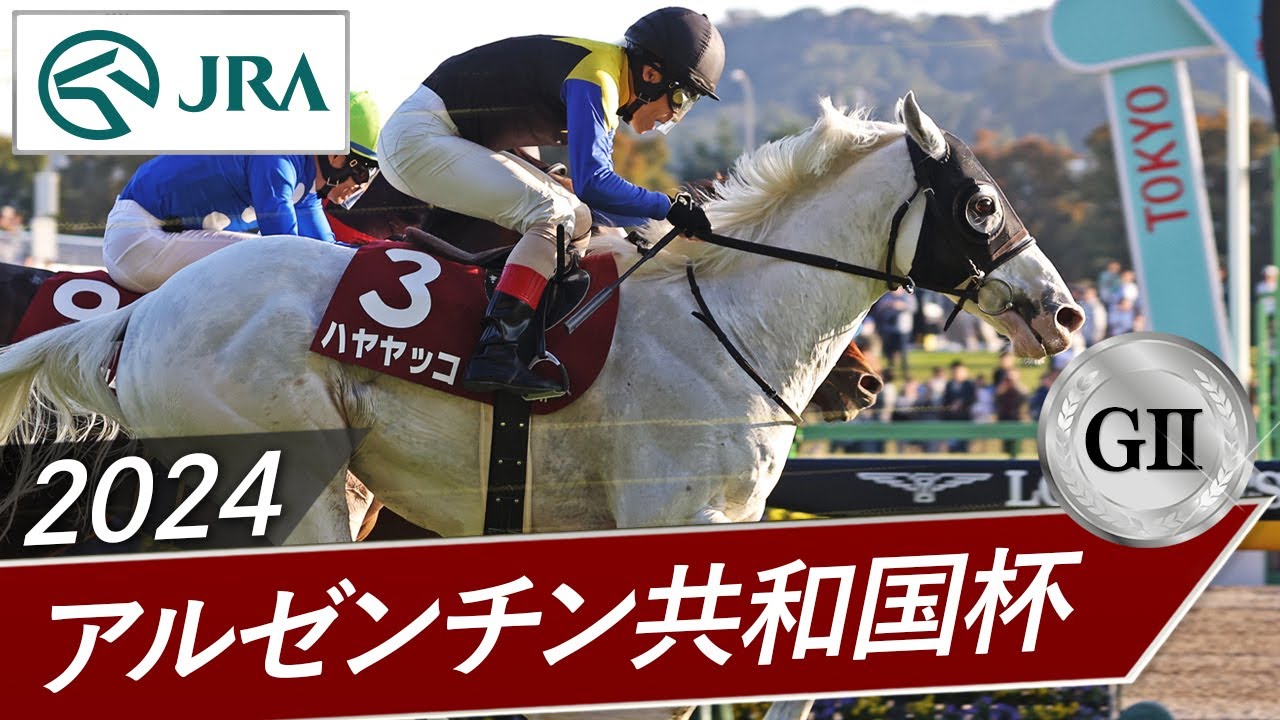 2024年 アルゼンチン共和国杯（GⅡ） | ハヤヤッコ | JRA公式