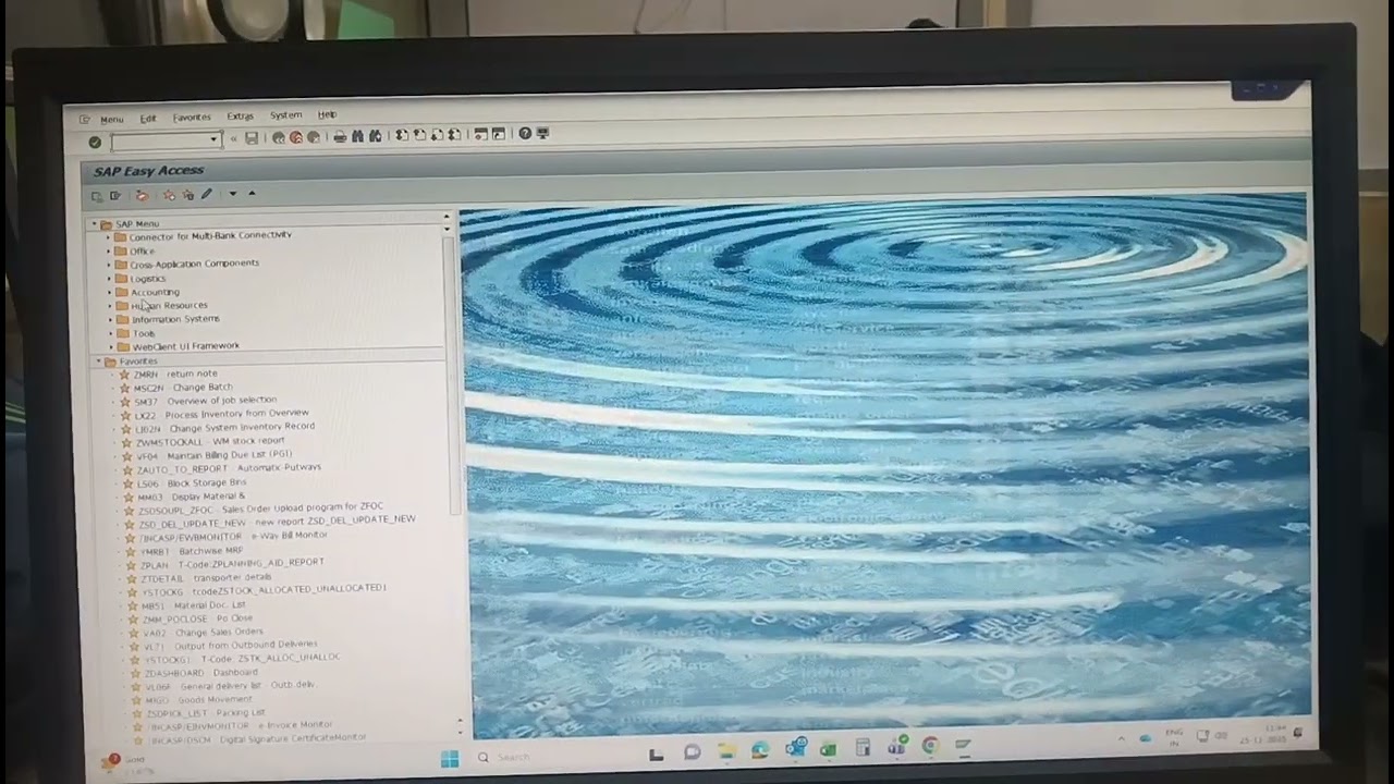 Excel vba coding Sap Link 🔗 automatic sap in transport details uploaded
