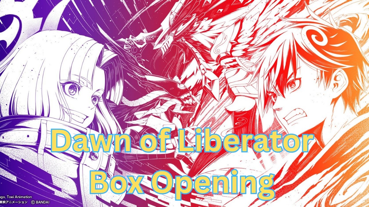 Dawn of Liberator Box Opening!