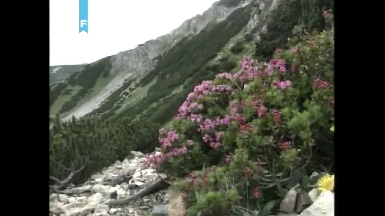 Prirodna baština BiH - Vranica