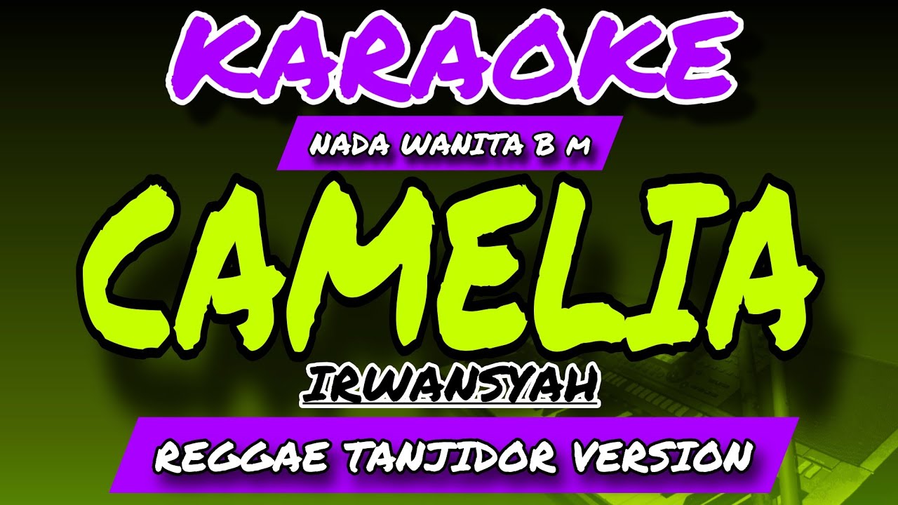 CAMELIA - IRWANSYAH - KARAOKE NADA WANITA B m - REGGAE TANJIDOR VERSION