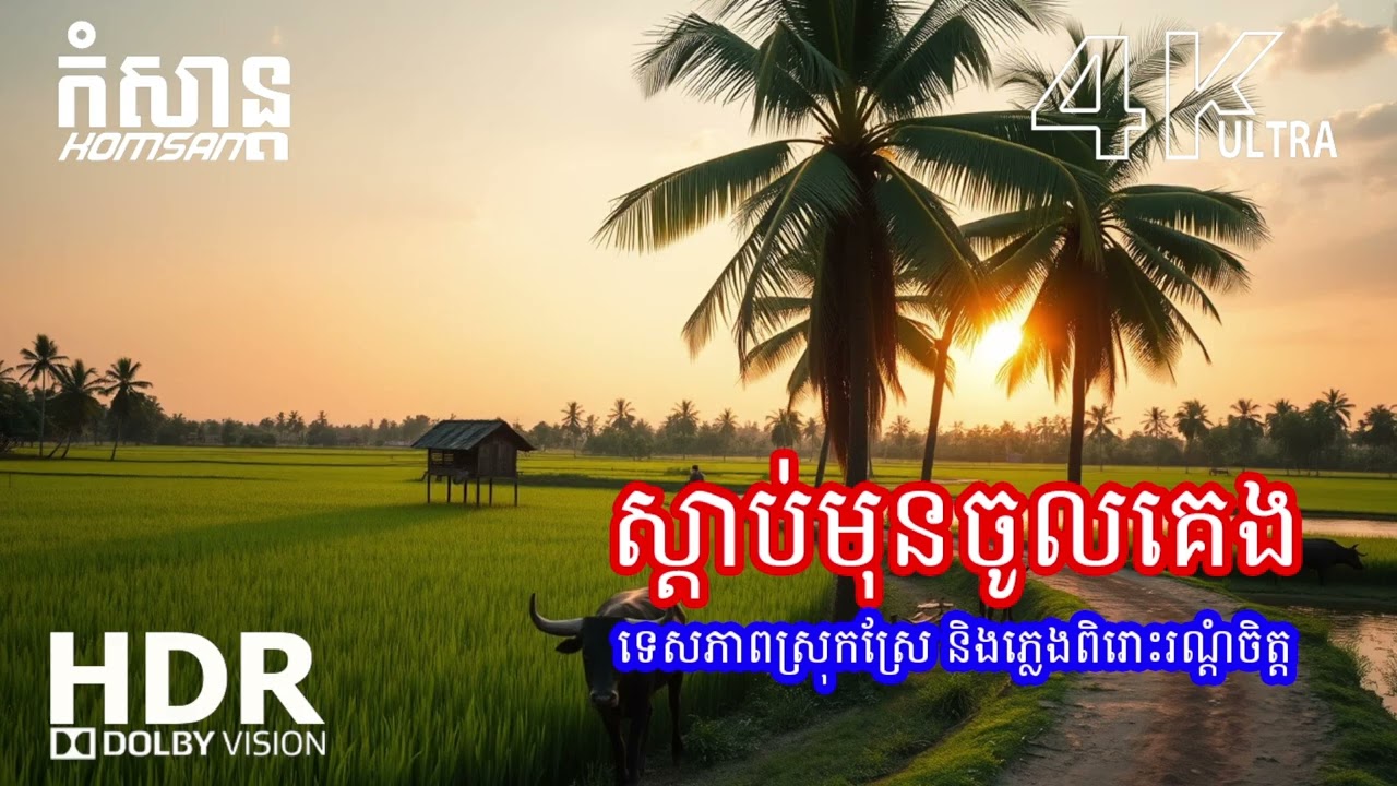 ✨ ភ្លេងបែបធម្មជាតិទន់ភ្លន់ – គេងលក់ងាយ និងសុបិនល្អ