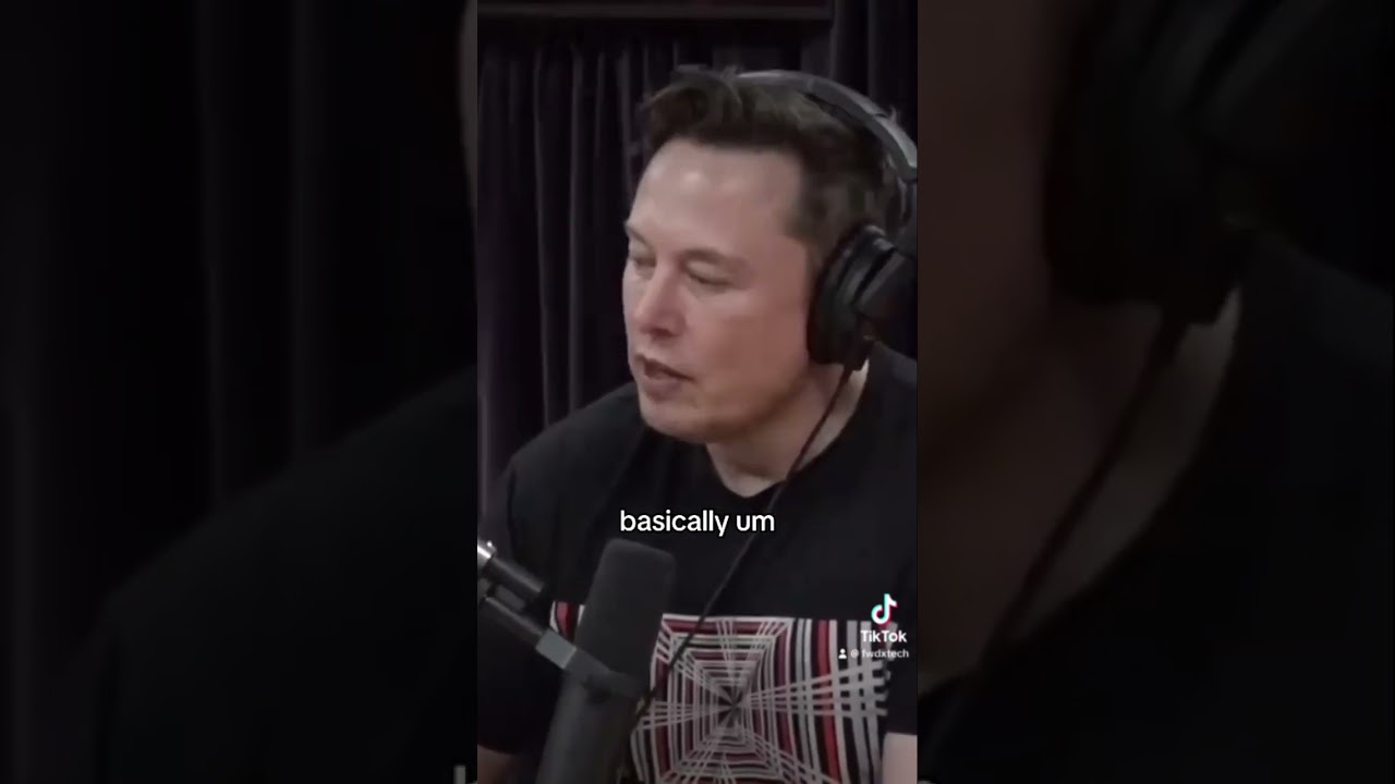 Elon Musk: What is consciousness #elonmusk #consciousness #philosophy