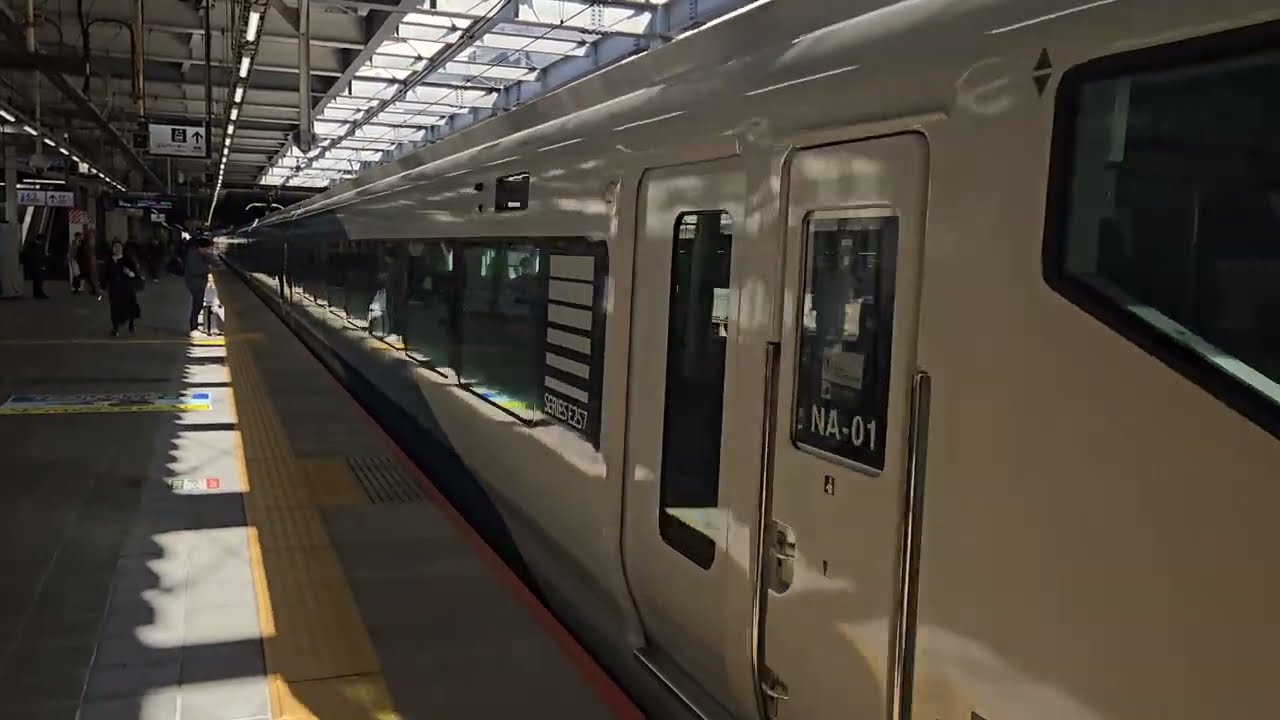 E257系NA-01編成(トップナンバー)が特急踊り子11号伊豆急下田行きとして川崎駅1番線を発車するシーン！(2026年1月18日)