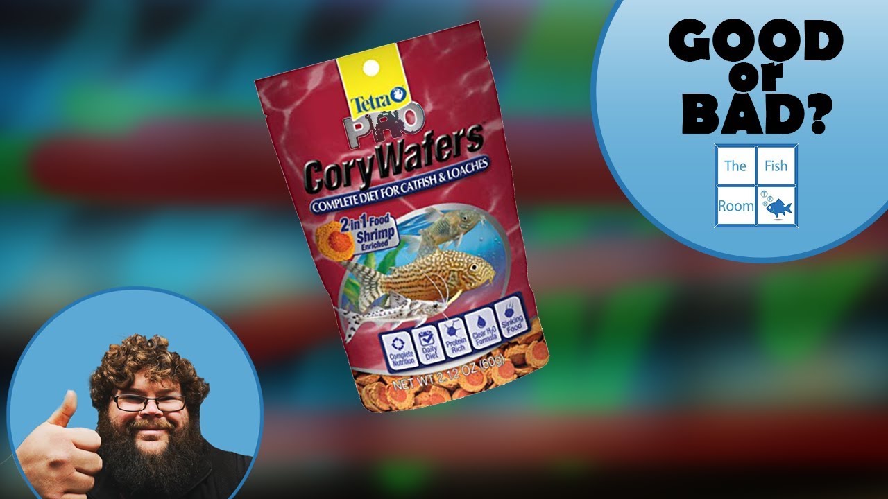 Tetra Pro Cory Wafer Review!