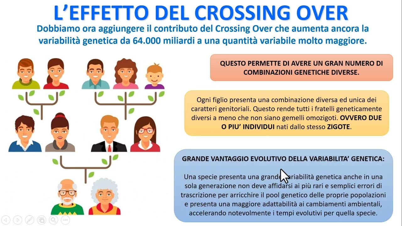L'EFFETTO DEL CROSSING OVER