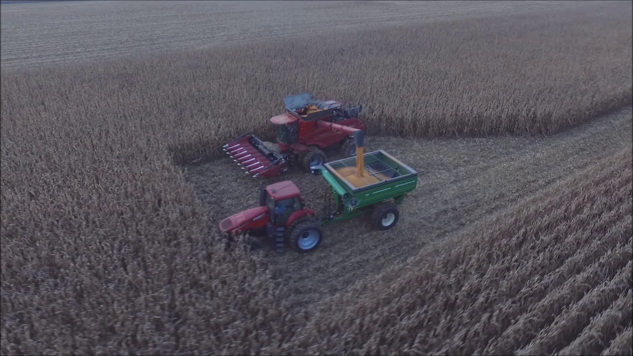 RONNIE MYERS FARMS LIBERTY, IN SHELLING CORN NOV 11, 2017 DRONE VIDEO