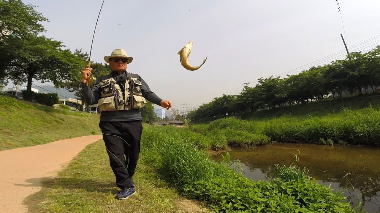 Fly fishing - Episode 27 - Crucian carp Fly fishing in Tiny stream (붕어 플라이 낚시)