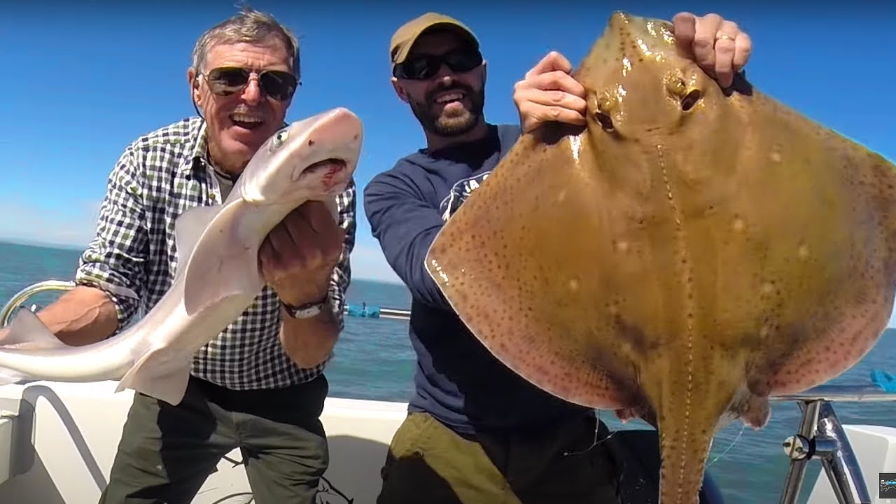 Father & Son make Epic Catch - Big Rays, Conger Eel, Smoothound, Bass