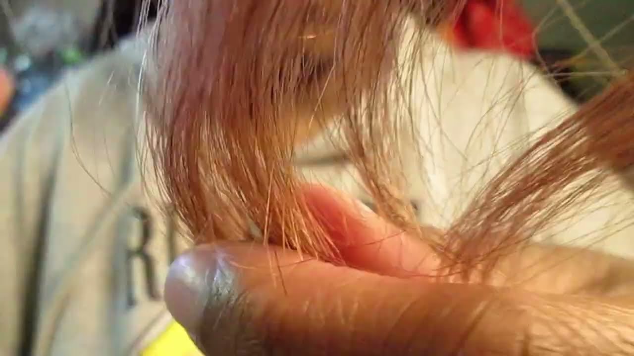Giving You Clip-ins [ASMR]┆talking version