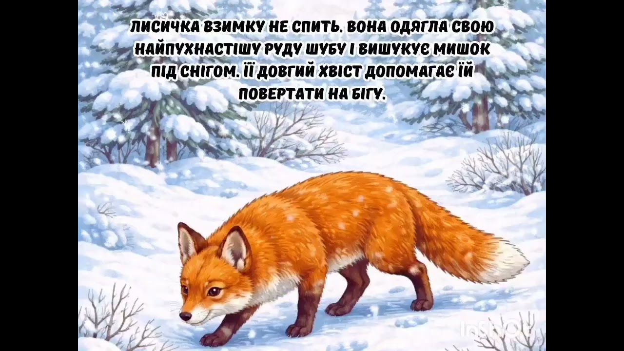 Заняття з ознайомлення з природою та розвитку мовлення 