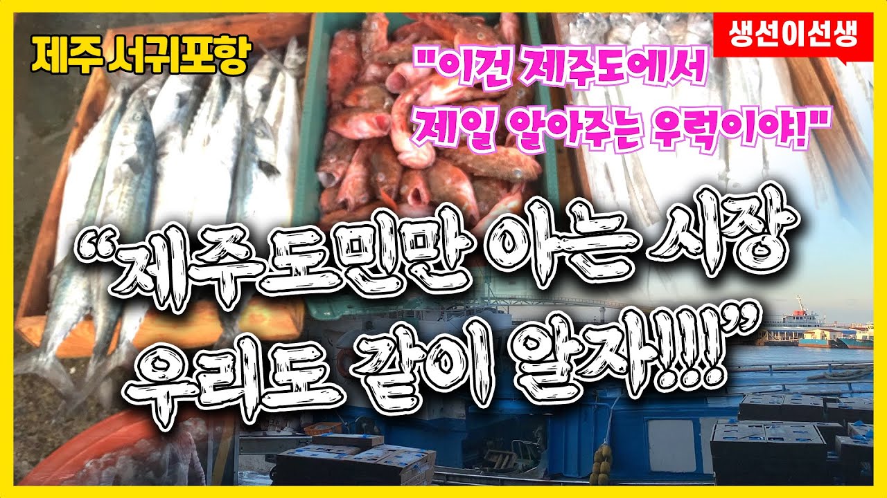 제주 서귀포시장 제주도민만 아는 시장 우리도 알자!!! #서귀포