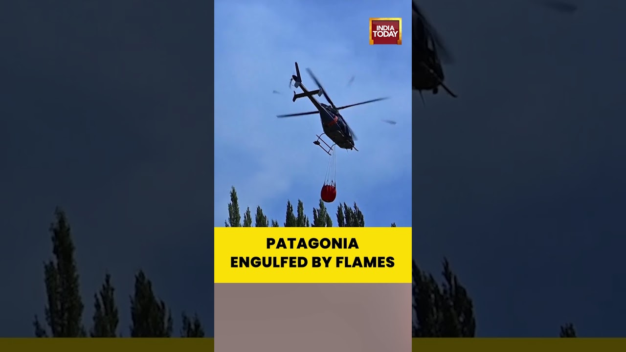 Tragic Wildfires Ravage Argentina&rsquo;s Patagonia, Burning Over 3,000 Hectares | #wildfire #argentina