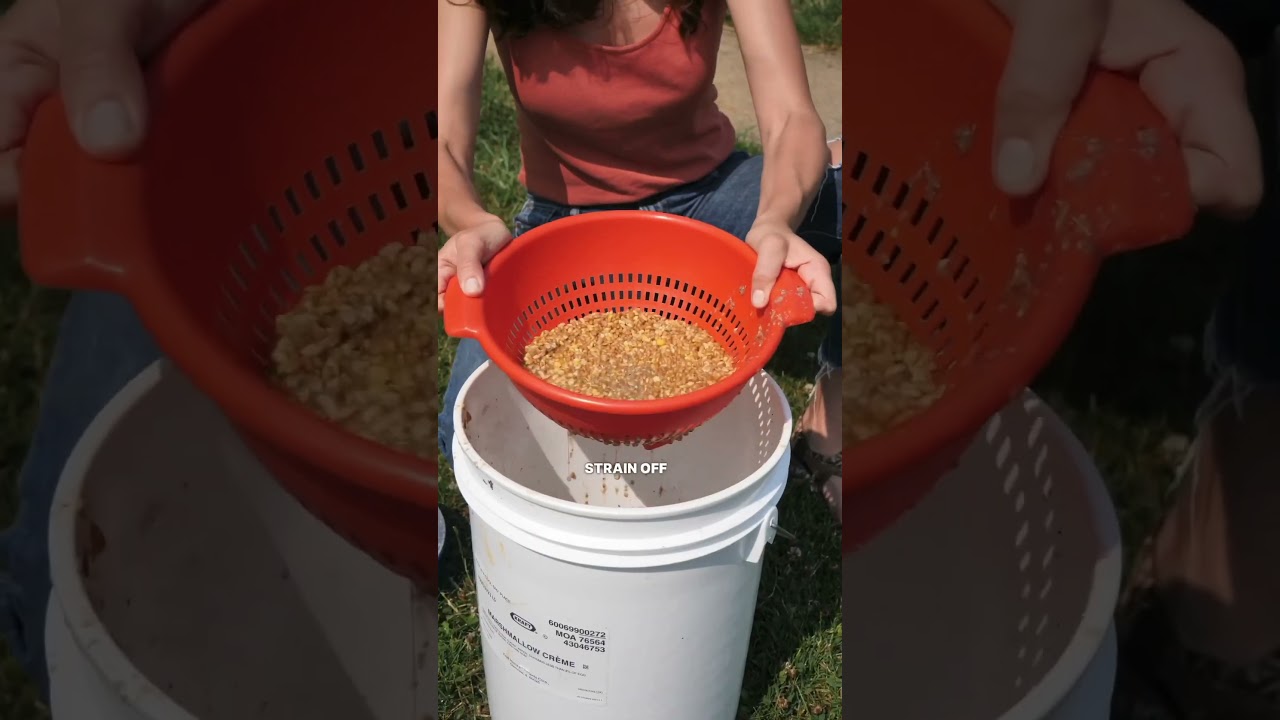 Save Money on Chicken Feed with Fermentation! #backyardchickens