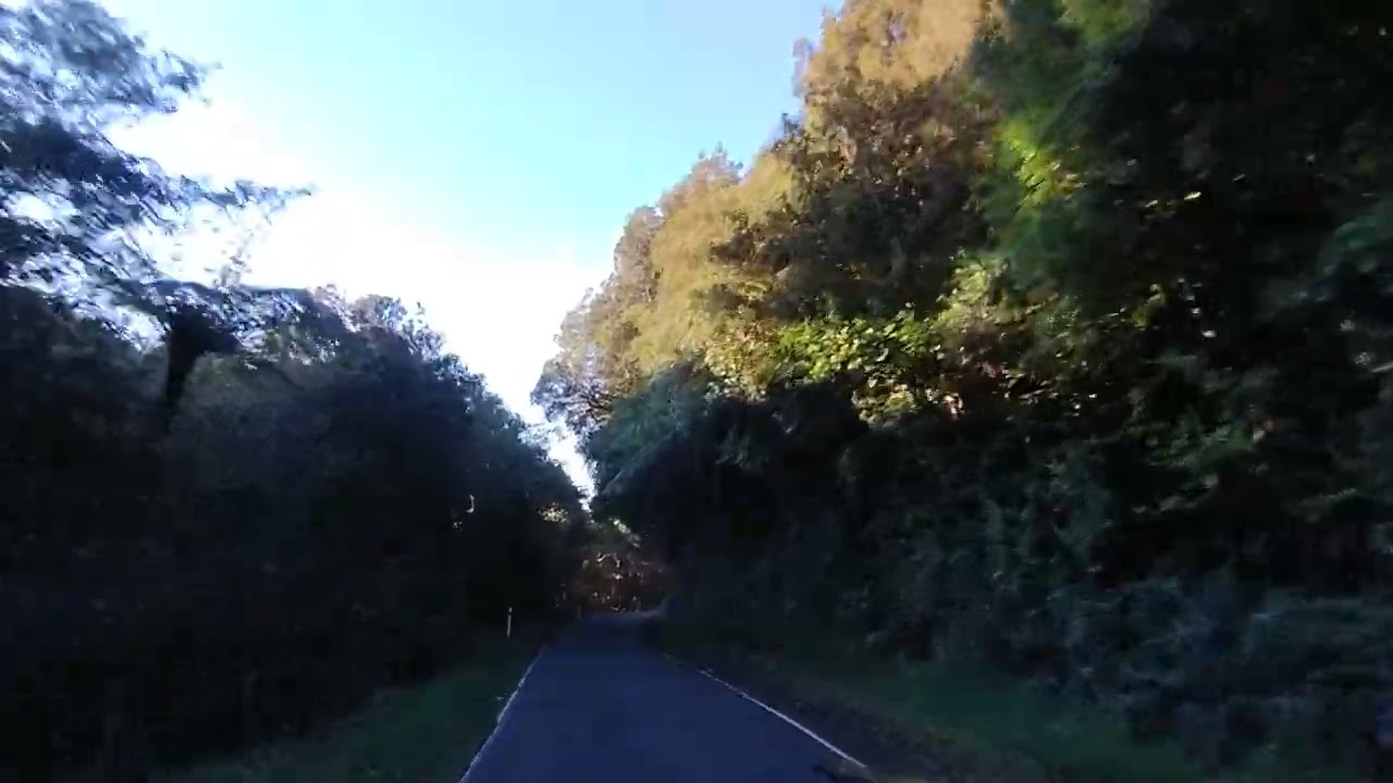 Sunset Forest Drive 89 return NZ - Akatarawa Road Rambles