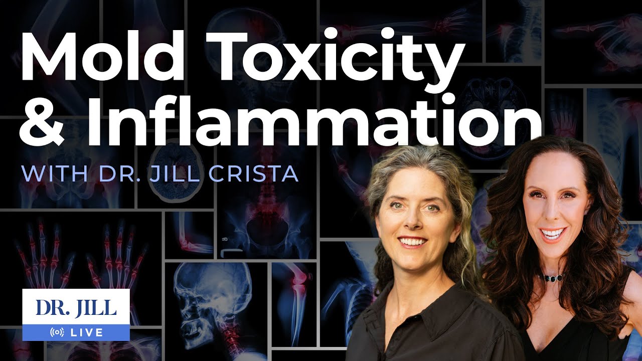 64: Dr. Jill Interviews Dr. Jill Crista on Mold Toxicity, Lyme Disease and Neuroinflammation