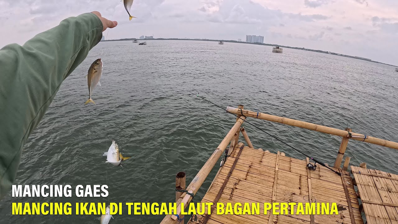Mancing Ikan Di Tengah Laut Bagan Pertamina Fajar Ivon - Mancing Gaes