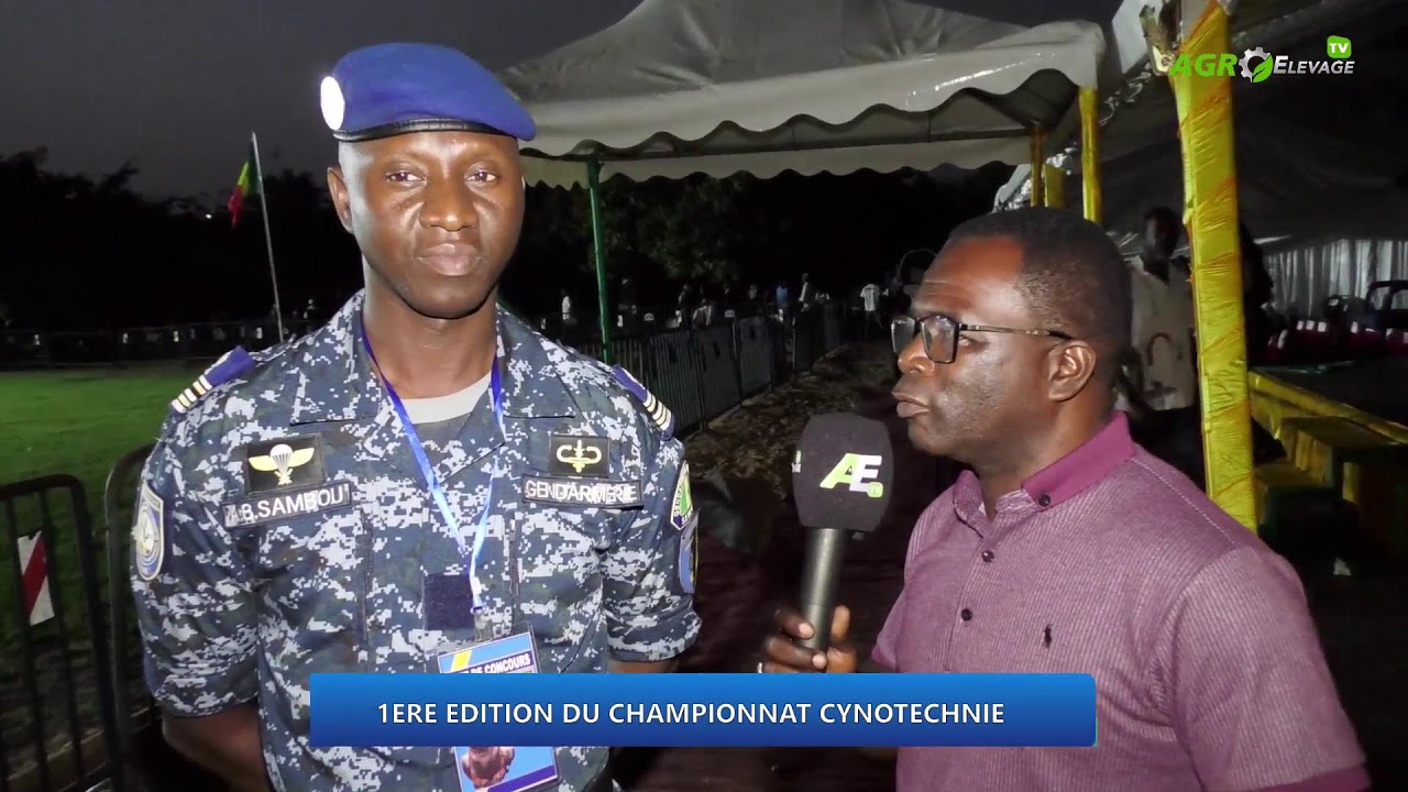 1ERE EDITION DU CHAMPIONNAT CYNOTECHNIQUE