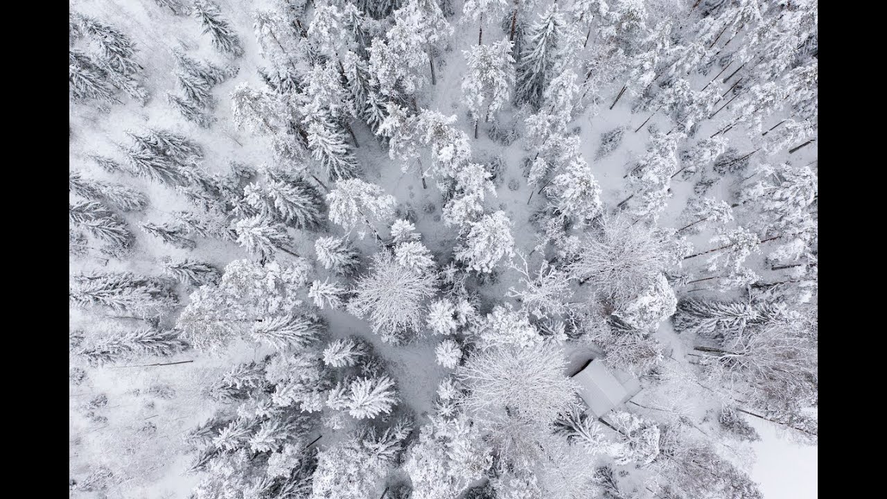 Luminen mets&auml;, Snowy forest in Finland. 4K