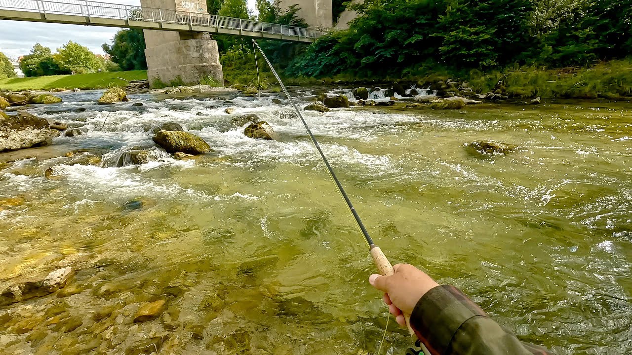 Fliegenfischen im Alpenvorland | Rainbows | Bachforellen | Dryfly | Indicatornymphing | Live-Bisse