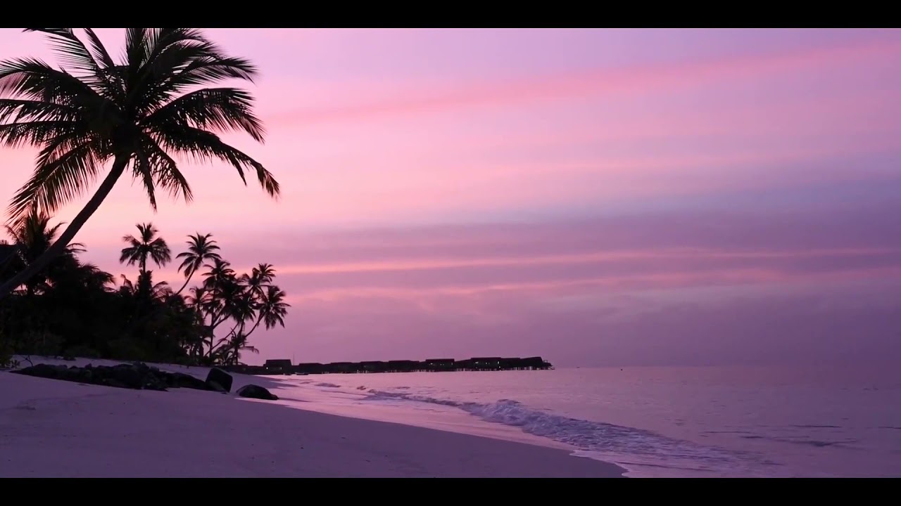 beautiful nature background video no copyright  | Smart natural