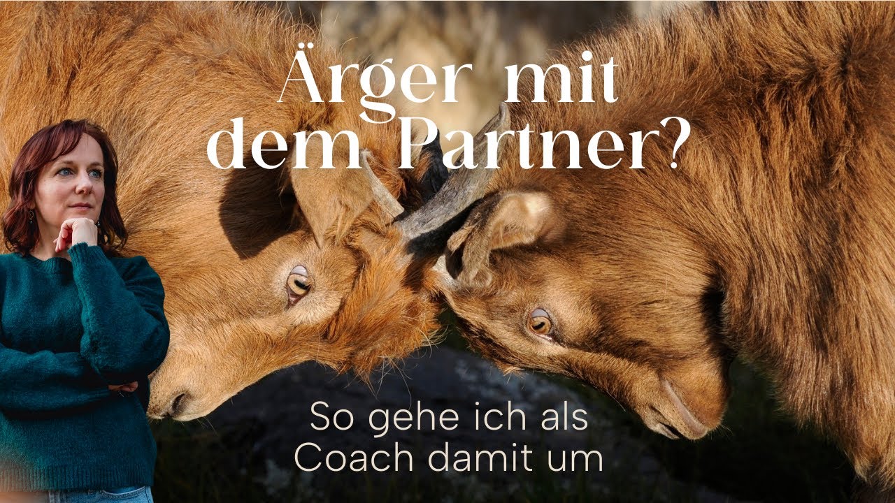 5 einfache Schritte um Streit in der Beziehung zu lösen!