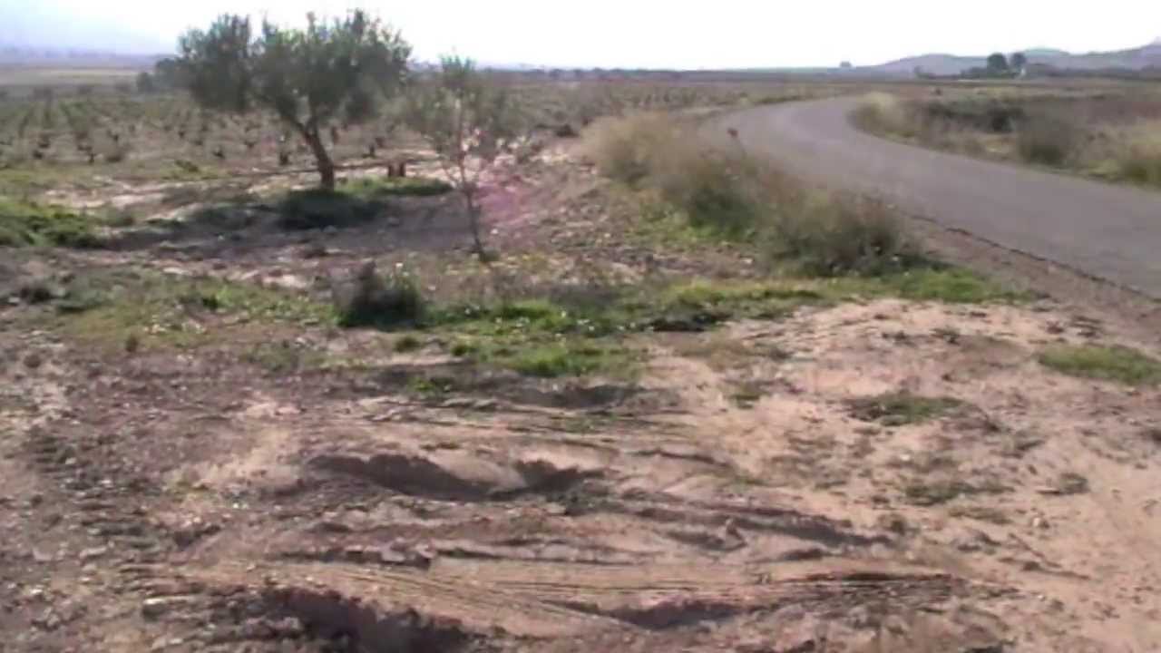 GR 251 