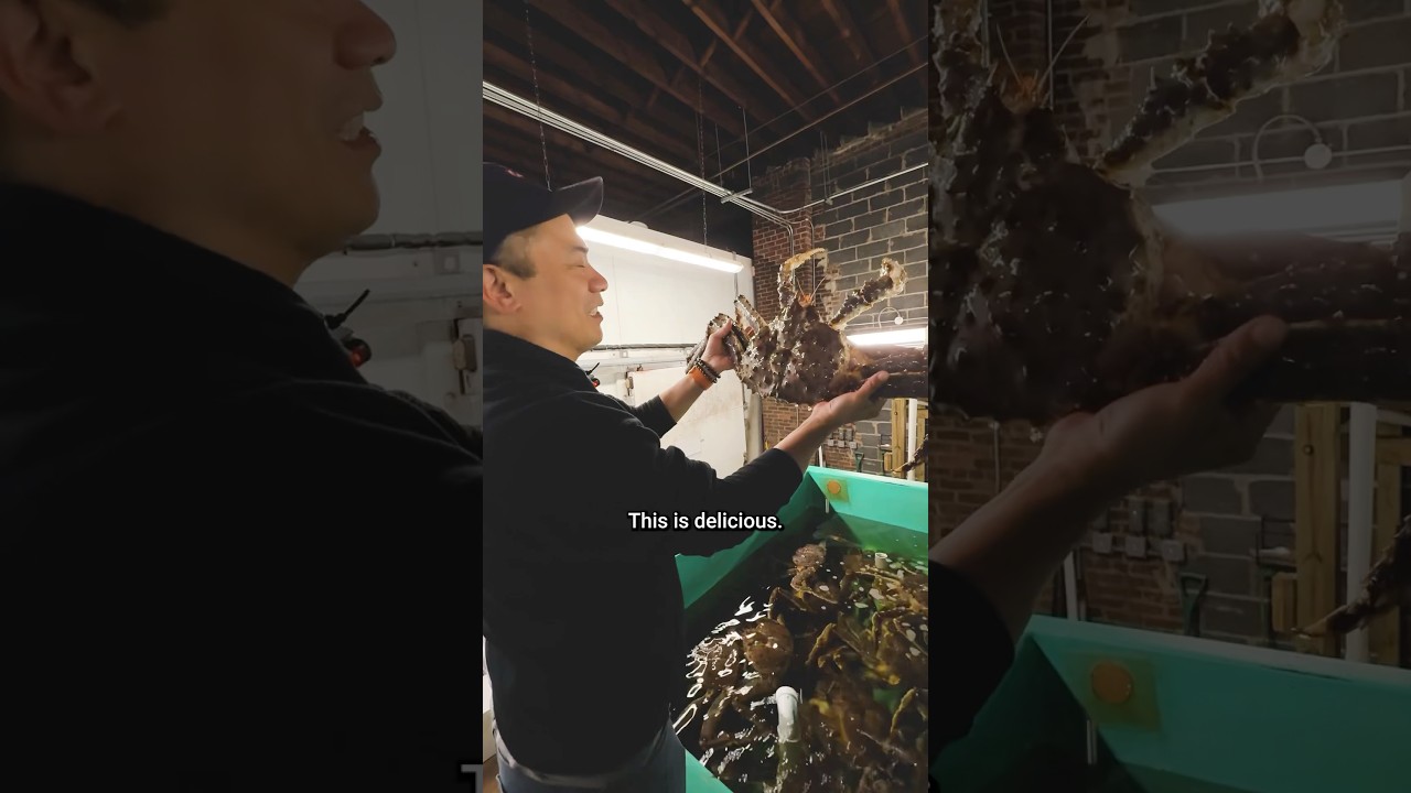He&rsquo;s NYC&rsquo;s #1 fishmonger
