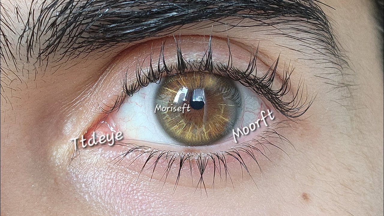 Ttdeye Moonloom Brown Código descuento: moriseft @ttdeye #moorft #moriseft #contactlenses #makeup 