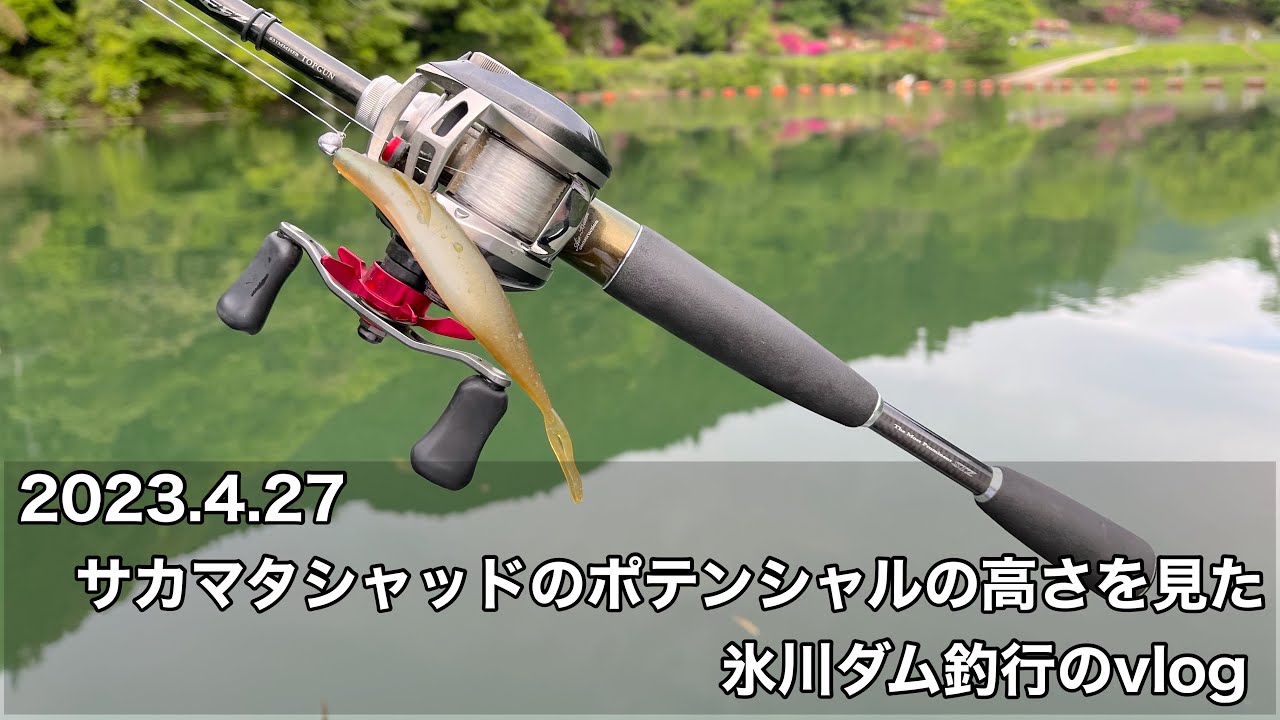 4/27 サカマタシャッドのポテンシャルの高さを見た氷川ダム釣行のvlog