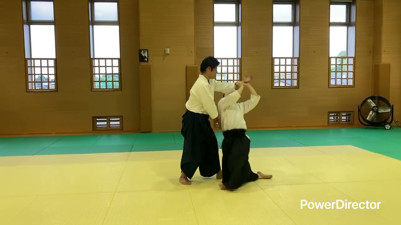 合気道　入り身＆転換法【一つの考え】　合気道山彦会（yamabiko)