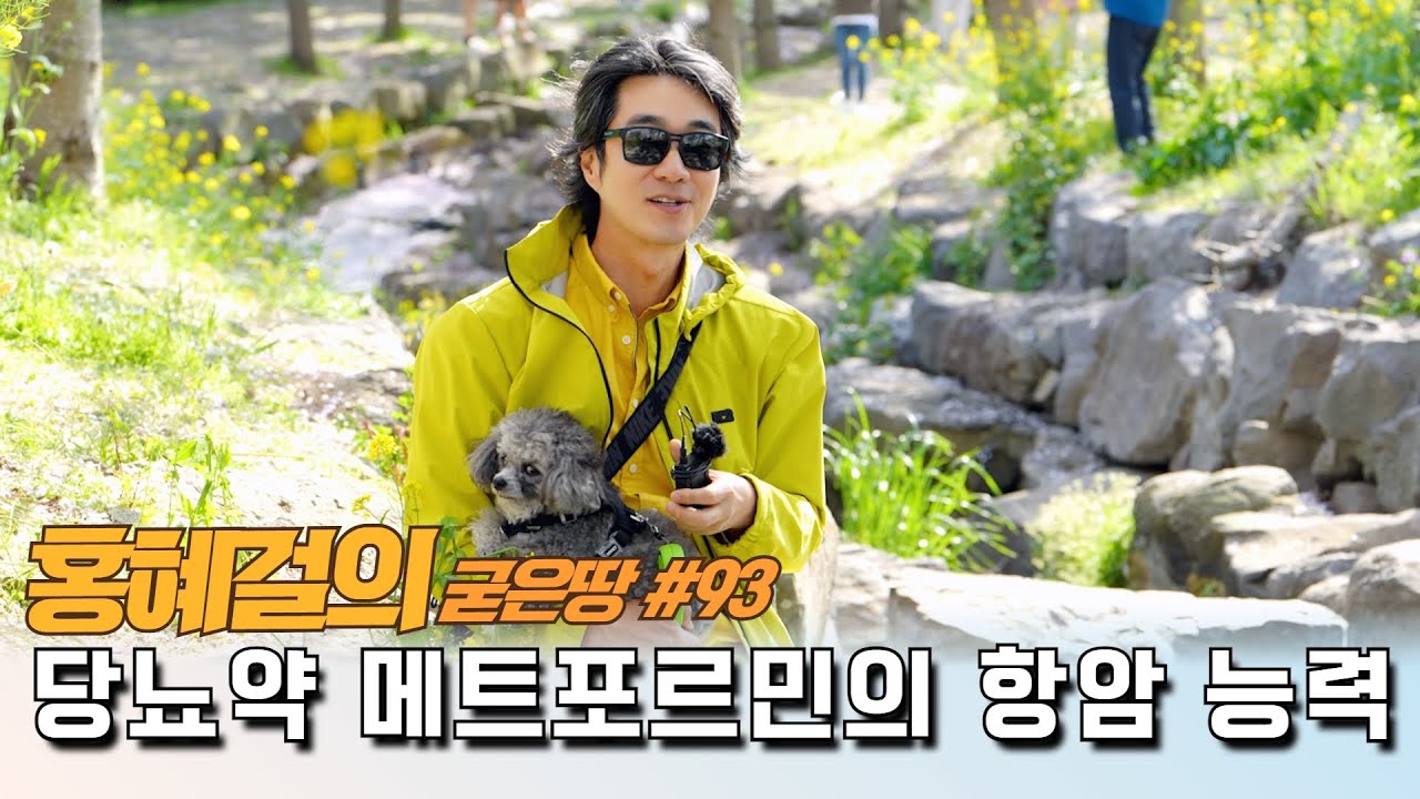 홍혜걸의 굳은땅 #93 