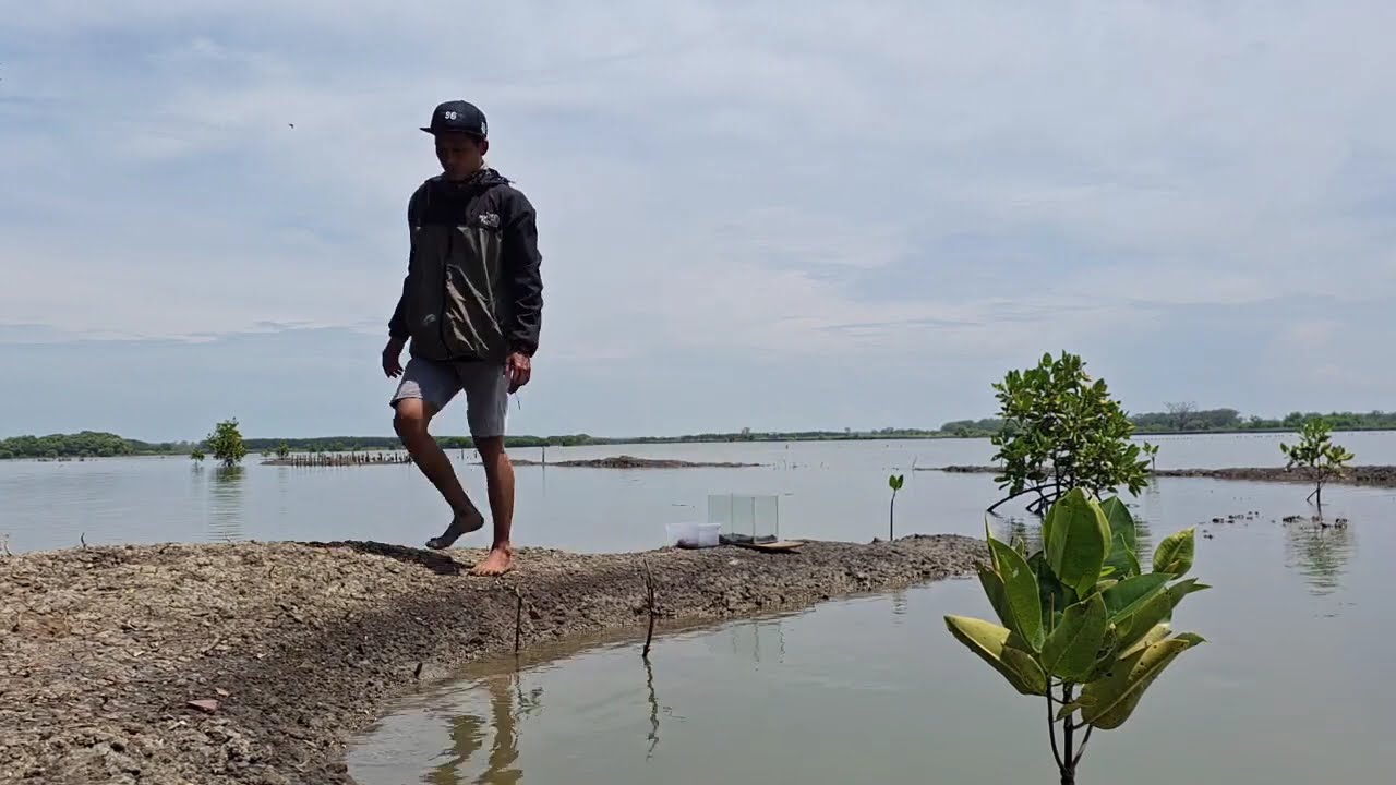 LAGU TARLING LAWAS TERPOPULER FULL ALBUM | AAS ROLANI | DEWI KIRANA | DIAN ANIC | TATI MUTIA |