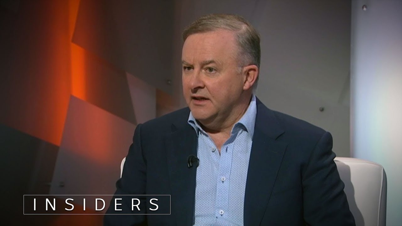 Albanese discusses the reasons Labor lost the 2019 election | Insiders