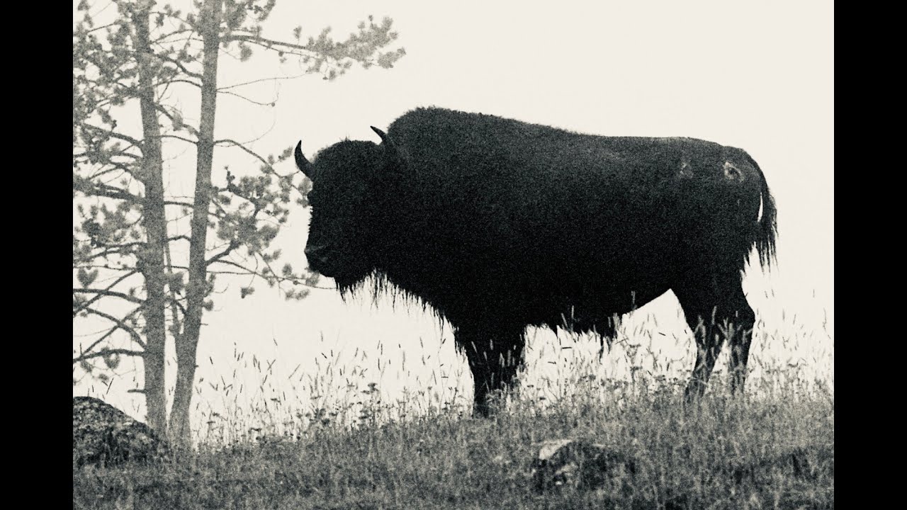 Russ Hopkins &bull; Oglala Lakota