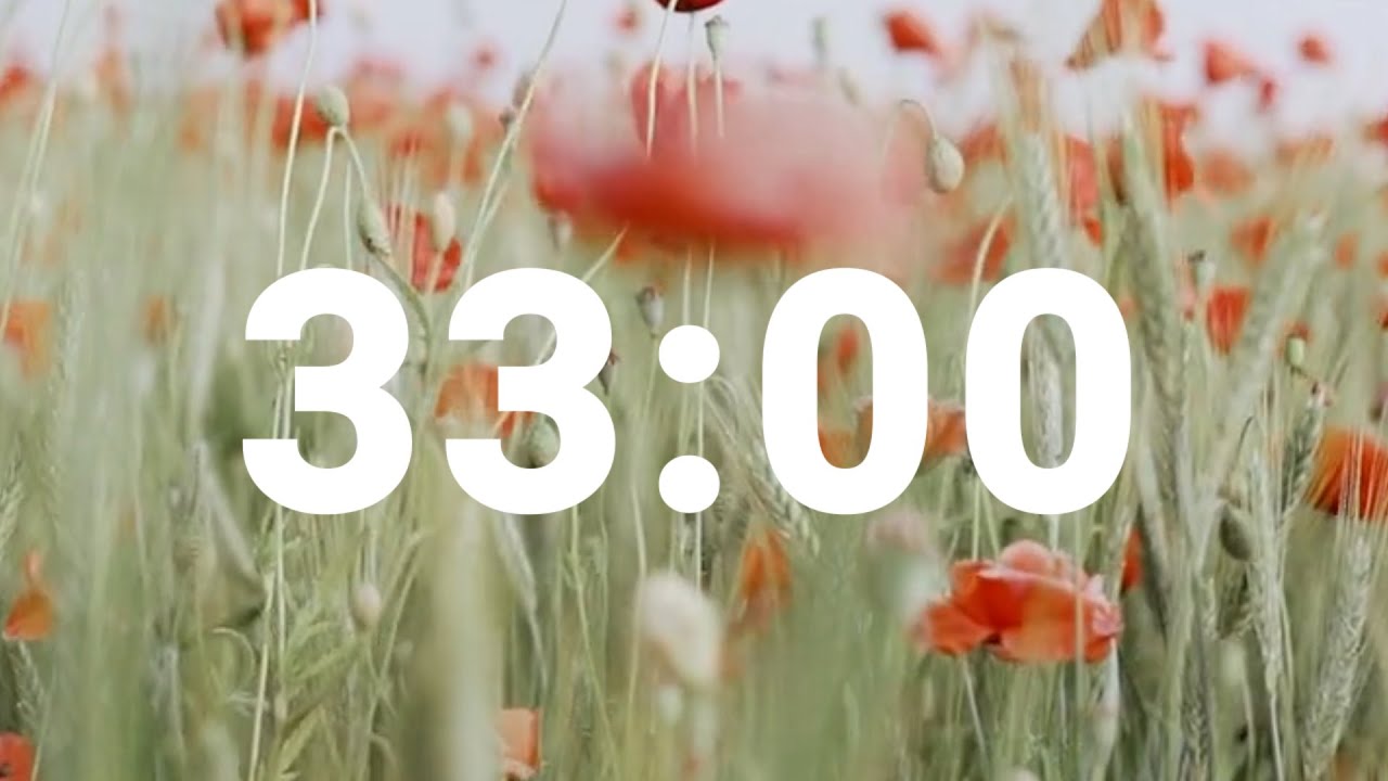 33 Minute Timer with Relaxing Music and Alarm, Countdown Clock for Stress Relief