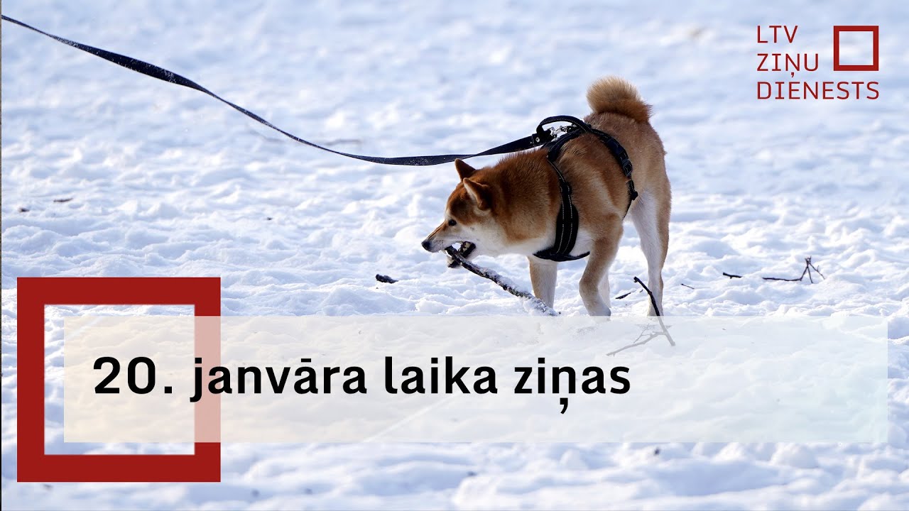 20. janvāra laika ziņas