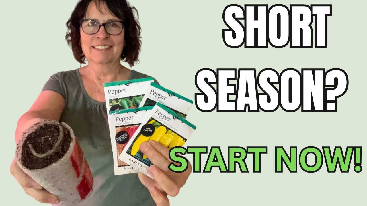 Grow Huge Peppers in Cold Climates - Zones 3-5