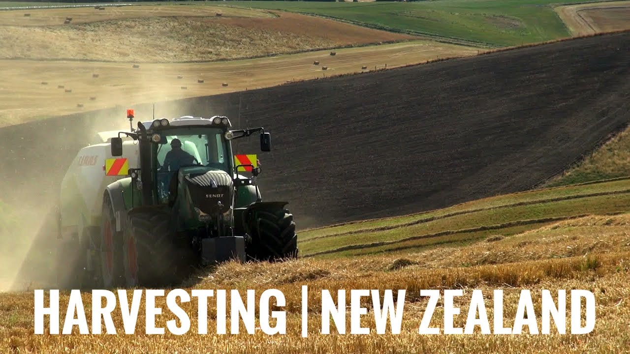 Bethell Agriculture | Seeding | Grain Harvest | New Zealand