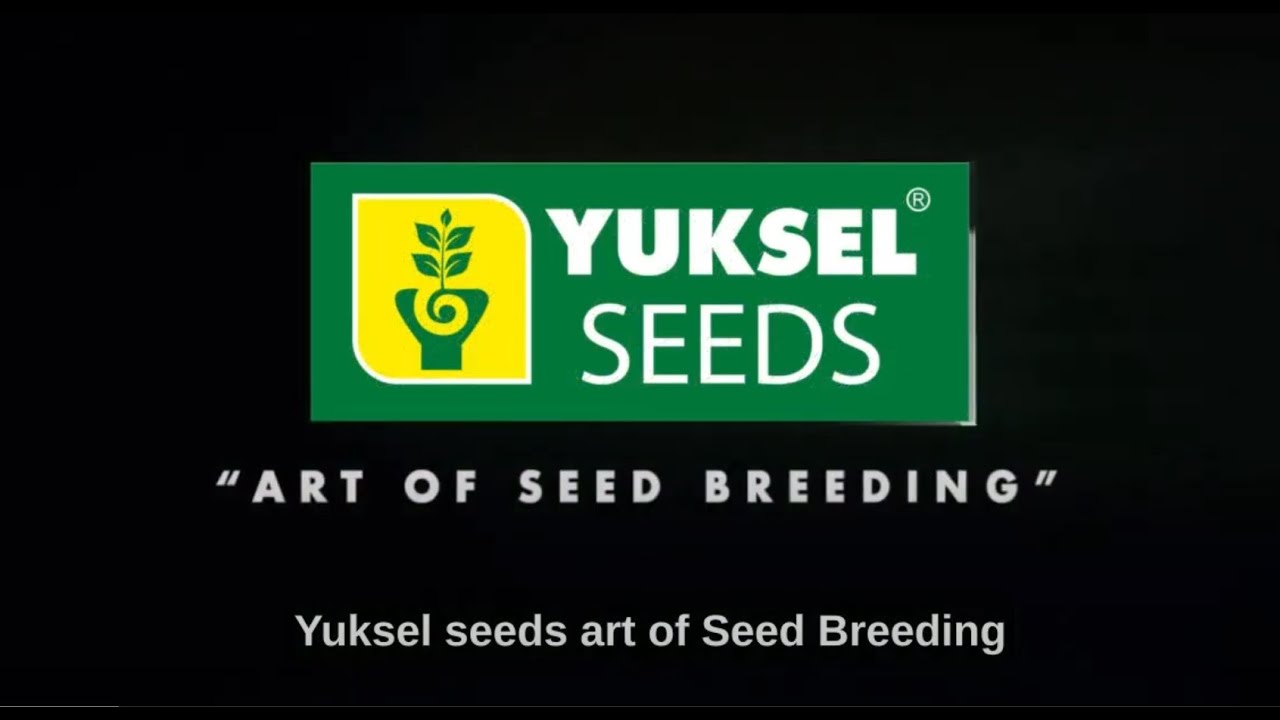 Yuksel Seeds video officielle en Français