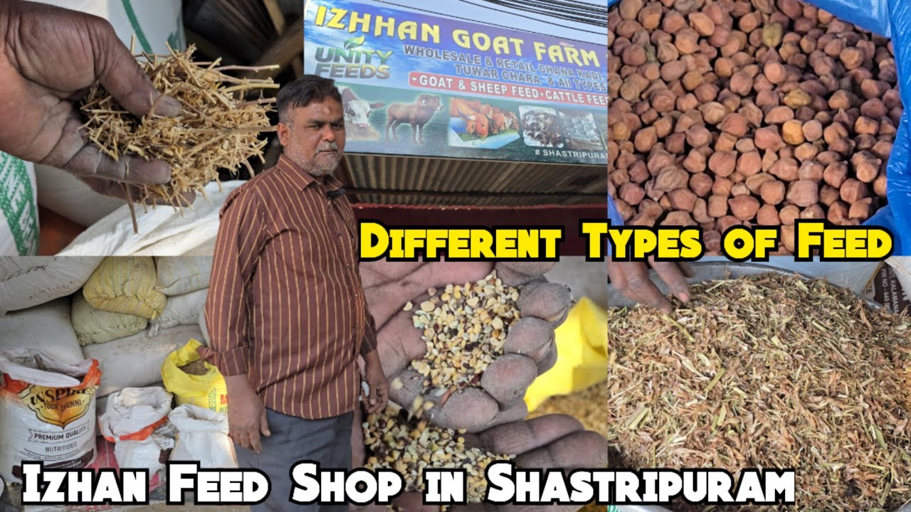 All Types of Feed For Goats & Cattle Available @Izhan Goat Farm Shastripuram | Bakro Ka Chara | Hyd