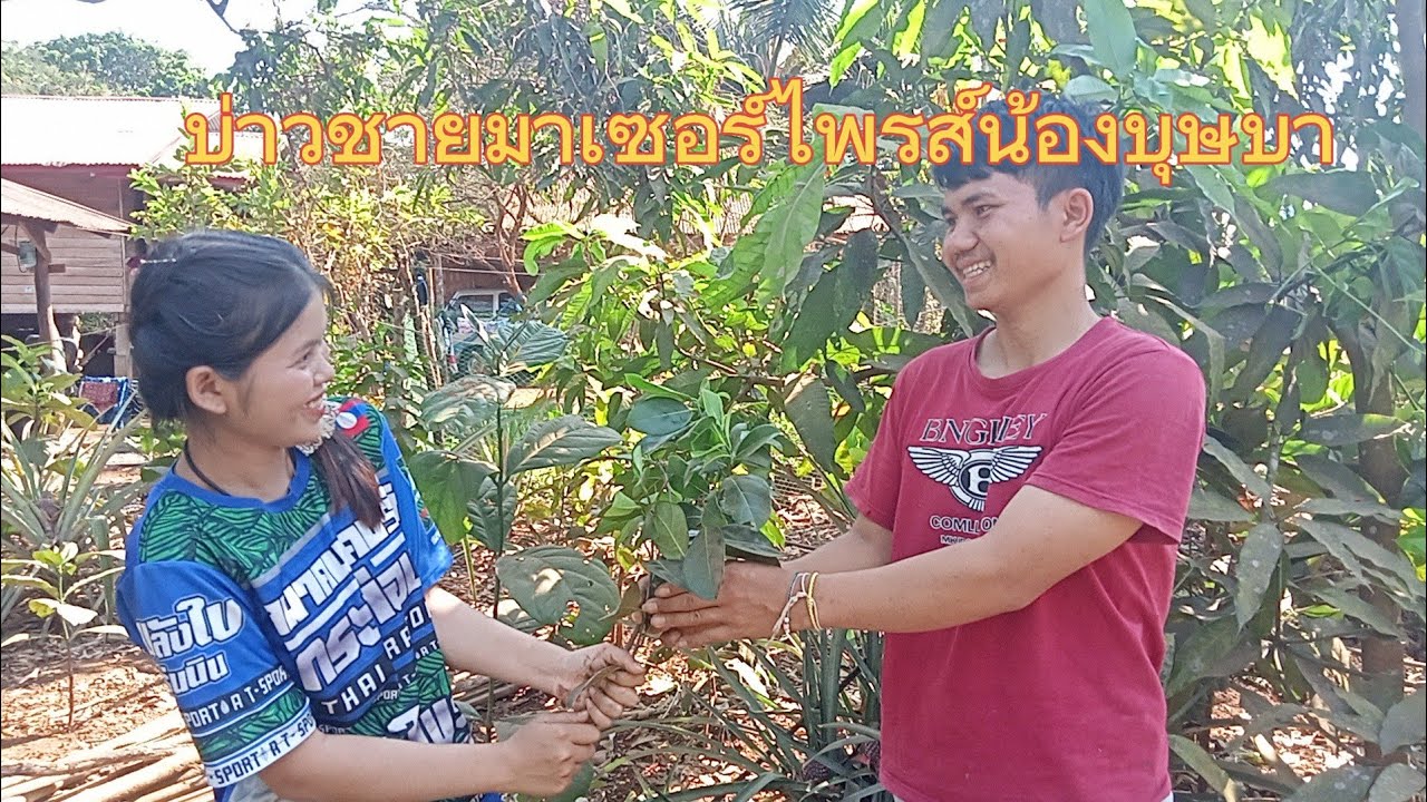 บ่าวซายมาเซอร์ไพรส์น้องบุษบา ກຸມພາ 2026