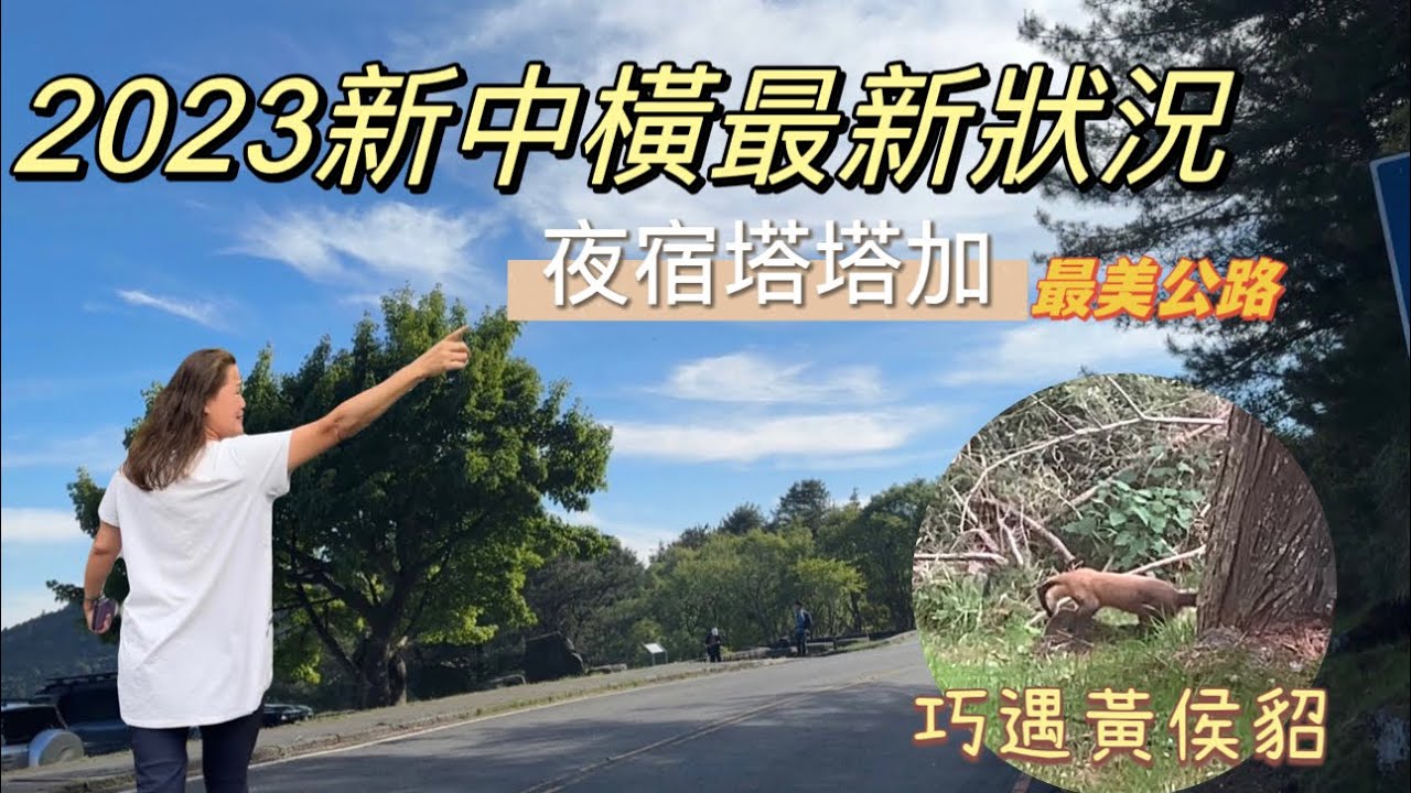 2023新中橫最新路況｜車泊點與景點實測｜巧遇野生黃喉貂｜夜宿塔塔加｜最佳避暑勝地｜埔溫泉