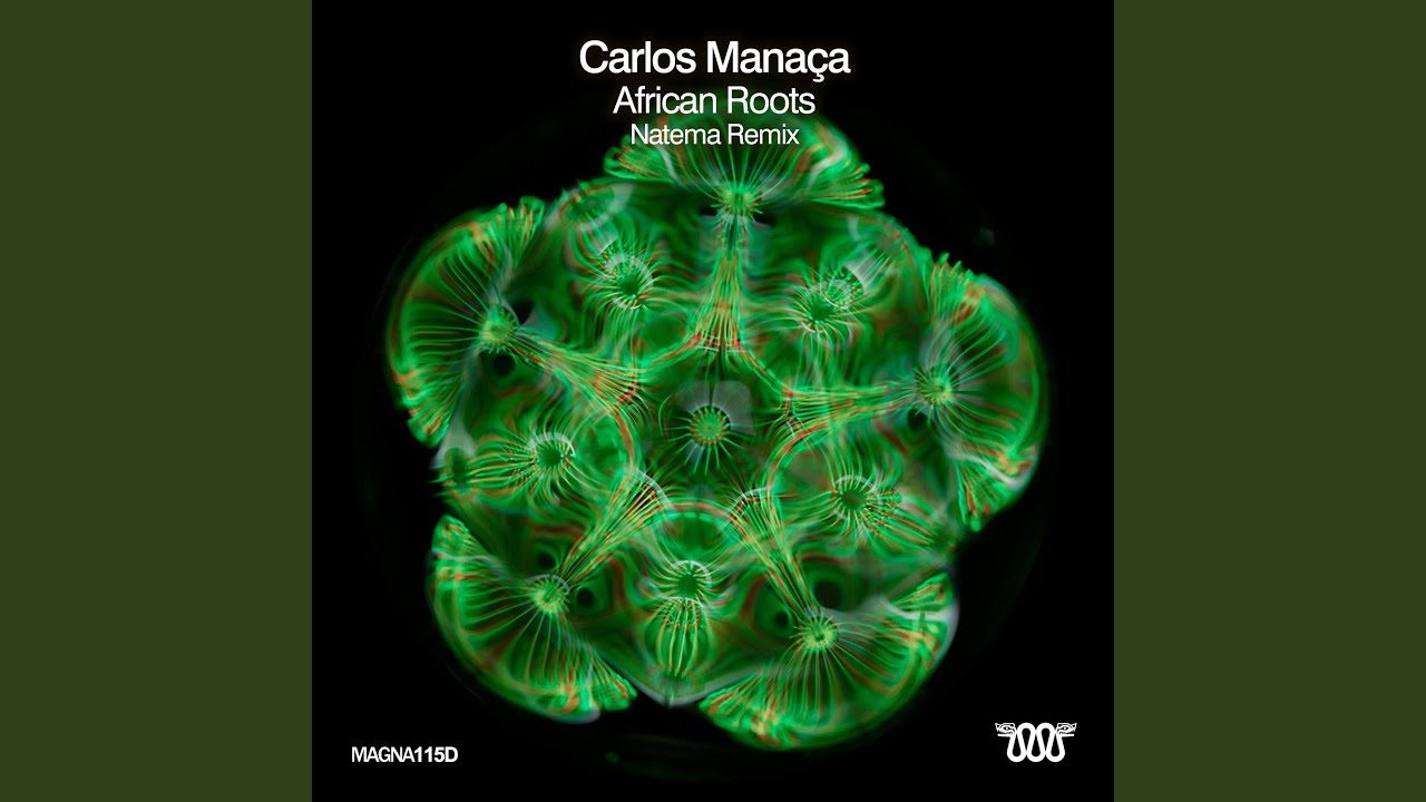 African Roots (Radio Edit)