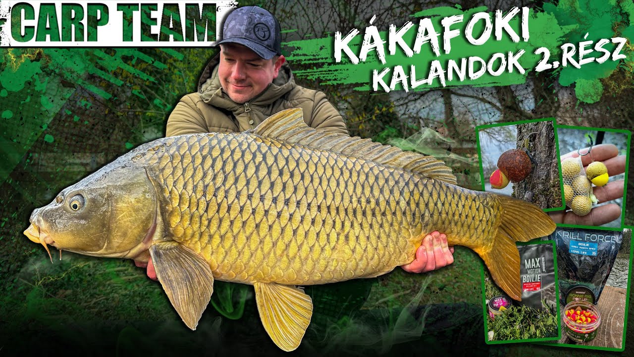 Rokolya Péter - Kákafoki kalandok 2.rész