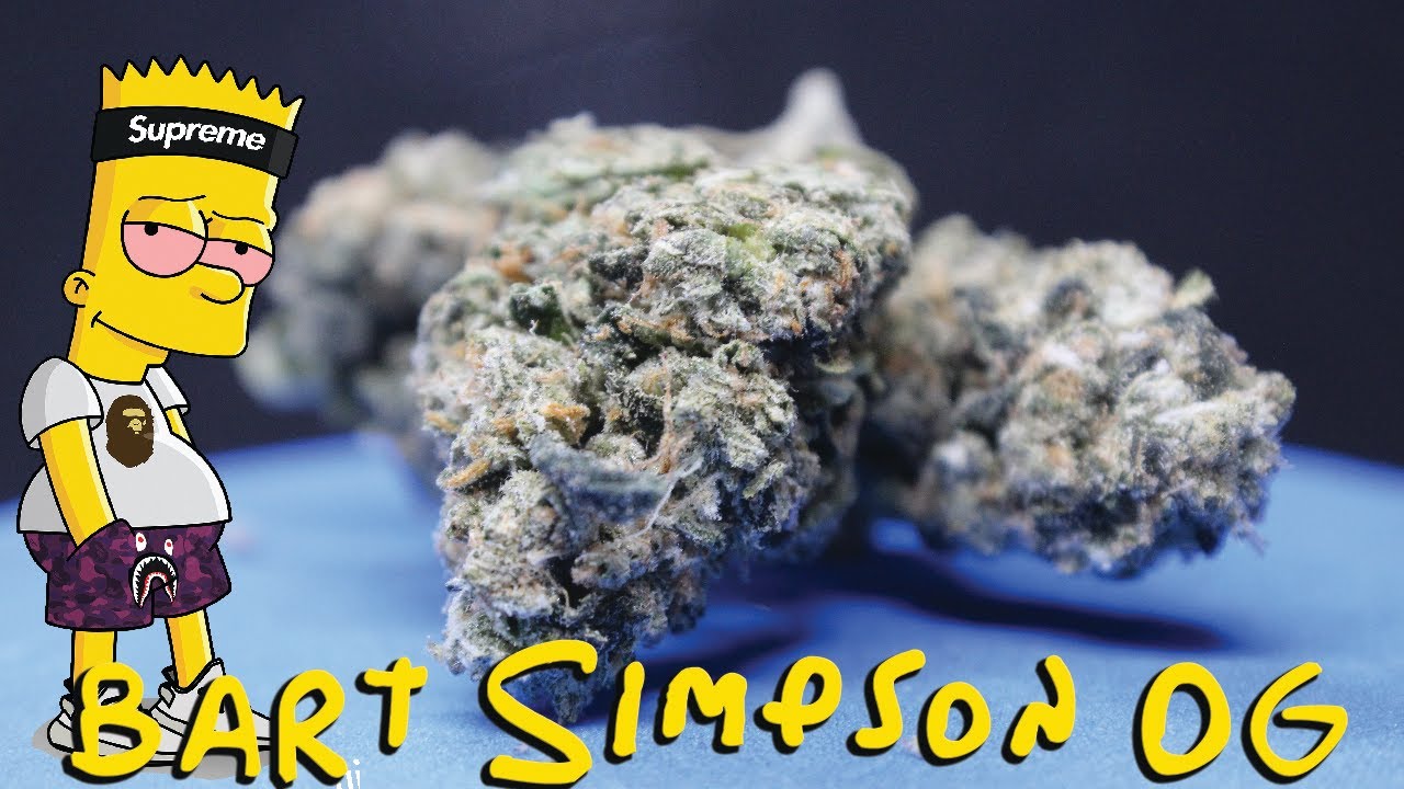 Bart Simpson OG Strain Review
