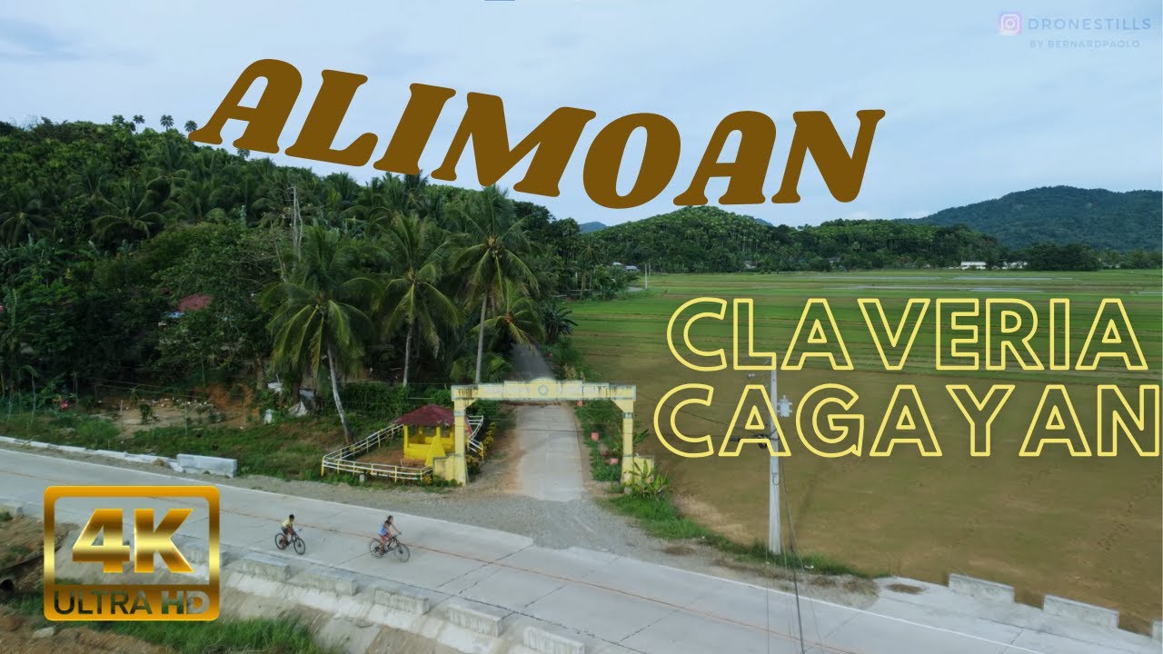 ALIMOAN | CLAVERIA CAGAYAN | DJI MINI 2 | 4K CINE FOOTAGE | NATURE DRONE SHOT | RICEFIELD | MOUNTAIN