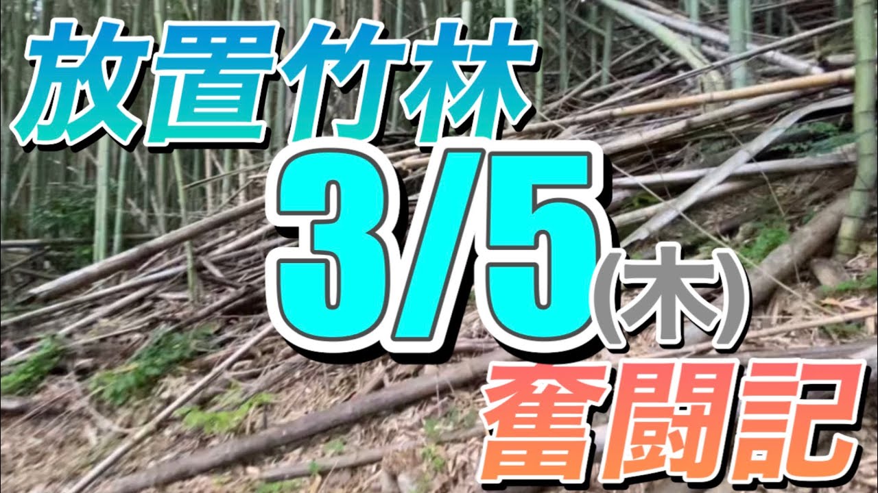 放置竹林奮闘記【早期退職者が竹を運ぶ日々】2026/03/05