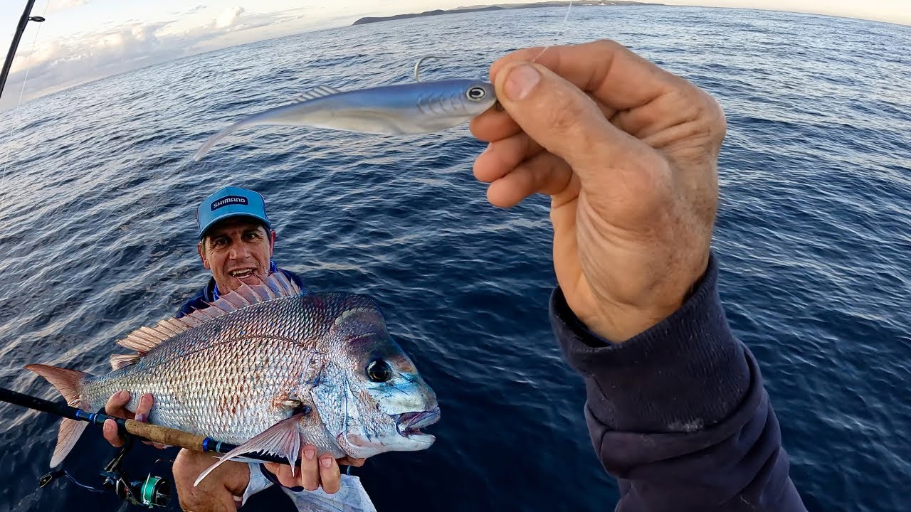 THIS LITTLE LURE GETS THE NIBS** Big snapper in the shallows on light gear