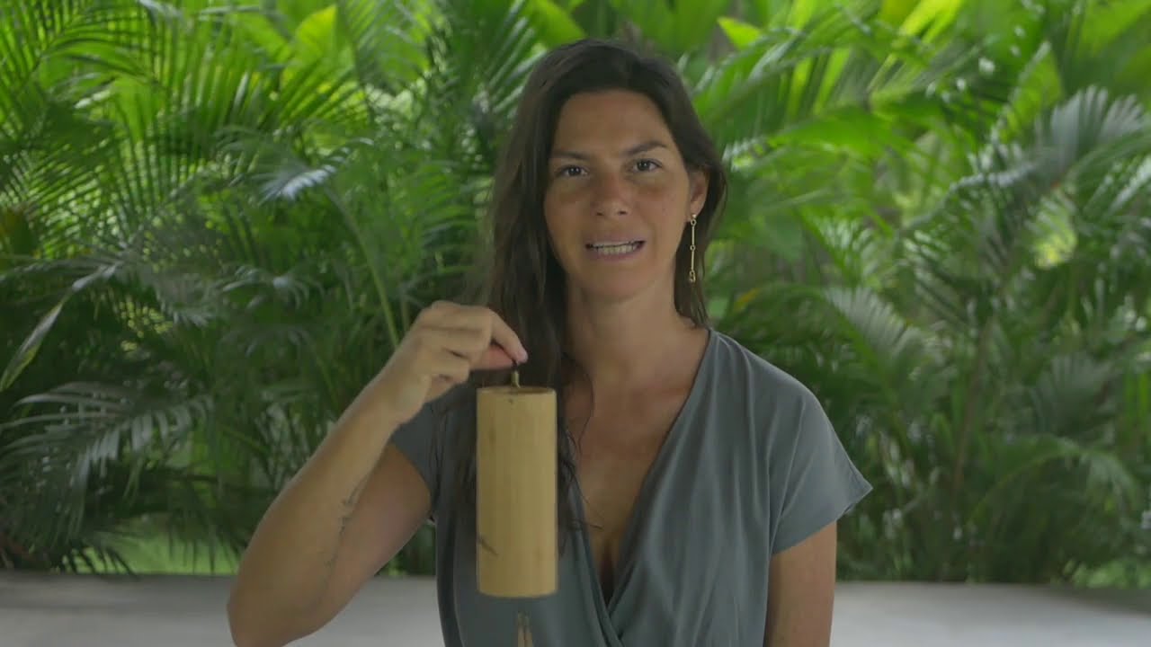 RESPIRACIÓN CIRCULAR - IN_BREATH Introducción a la respiración - Catalina Rojas Benedetti